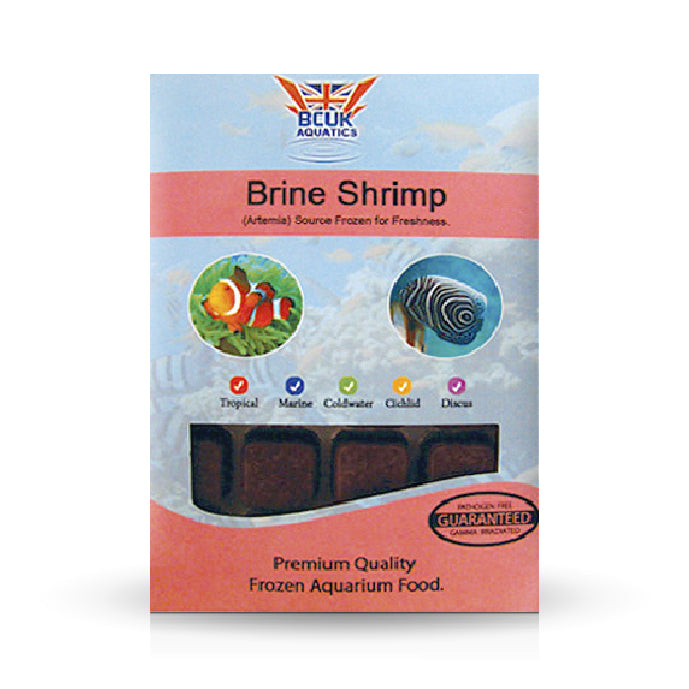 Brine Shrimp Blister Pack 100g