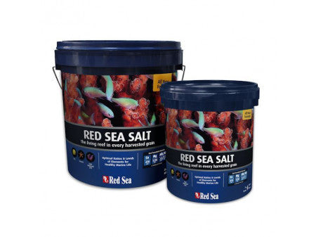 Red Sea Salt 22kg